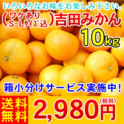 （ワケあり・S〜Lサイズ込）吉田みかん10kg　　　　　　　　　　　　　　　2,980円（税別） 