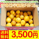 （厳選農園・ワケあり）宇和島ゴールド15kg　　　　　　　　　　　　　　　　　　　　　3,500円（税別）ちび玉多め！見た目が悪いワケあり品です。3度味が変わる不思議なみかん今の食味は「甘ぷるジューシー食感！」