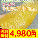 （厳選農園・ワケあり）宇和島ゴールド16kg　　　　　　　　　　　　　　　　　　　　　4,980円（税別）見た目の悪いワケあり品です。今の食味は「甘ぷるジューシー食感！」