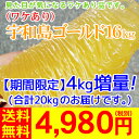 （厳選農園・ワケあり）宇和島ゴールド16kg+（全部で20kgのお届けです。）　　　　　　　　　　　　　　　　　　　　　4,980円（税別）美生柑今の食味は「サッパリ・パリ食感！」