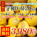 【たっぷり派様だけ！】あるだけ・いまだけ特価！見た目だけがとっても悪い宇和ゴールドです。【w宇10-2】（ワケあり）宇和ゴールド20kg 3,980円（税別）【全国どこでも送料無料】【smtb-KD】