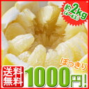 ●土佐文旦2kg●　または　●伊予柑2kg●　1000円ポッキリ！3箱お買い上げの方には1箱2kg入り福袋のおまけ付！数量限定1000箱！日頃の感謝の気持ちを込めて！旬のお味をお楽しみください。