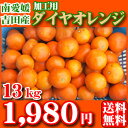 （加工用・ワケあり）ダイヤオレンジ13kg　　　　　　　　　　　　　　1,980円（税別）（サイズお任せ） ジュースやゼリー、ジャムにしてお召上がり下さい。