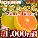 【g4】味濃い吉田みかん4kg(極早生・早生)(ワケあり・サイズ2S?2L込)※葉傷・枝傷・黒点等がございます。同一お届け先に限り、⇒2箱のご注文で1箱プレゼント!【愛媛県産】