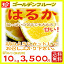 吉田町産10kg　　　　　　　　　　　　　　　　　　　　　家庭用、サイズ込み家庭用のため葉傷等あり2月4日からの発送になります。