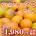 加工用ミックス15kg　　　　　　　　　　　　　加工用のみかんの詰合せです。※内容おまかせジュースにたっぷり搾って下さい。毎日のご健康に！おみかんのはね品です。毎朝のフレッシュジュースに。たっぷりビタミンで体をきれいに★