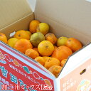 【加工mix 15】加工用ミックス 15kg (サイズ無選別・傷・黒点・ヘタ枯れ・ヤケ・シワ