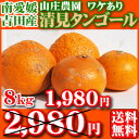 （ワケあり・サイズ込）清見タンゴール8kg　　　　　　　　　　　　　　　　　　　　2,980円→1,980円（税別）/ワケあり！サイズ込み清見です。