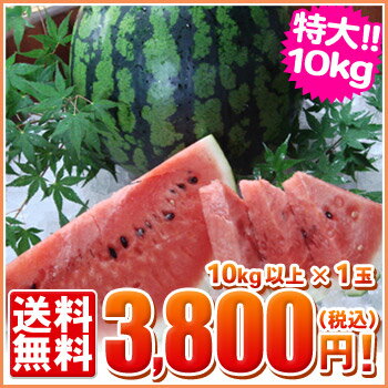 【s10-1】超特大「山すいか」10kg以上【日時ご指定不可】※入荷がある時のみの販売です。【全国どこでも送料無料】