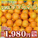 【cy10】(味濃い)ちび玉吉田みかん10kg (ワケあり・サイズ3S〜S)【愛媛県産】【全国どこでも送料無料】