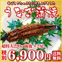 【うなぎ02】日本が誇る三河産の厳選素材を香ばしさたっぷりに焼き上げました!うなぎ蒲焼 超特大220g前後×2尾【愛知三河産】【送料無料※北海道・沖縄・離島への配送は別途500円の送料となります。】