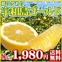 【W超宇8】【愛媛県産】（超ワケあり・大小サイズ込み）宇和島ゴールド8kg　　　　　　　　　　　　　　　　　　　　　【全国どこでも送料無料】美生柑