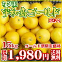 【ちびゴ1501】【愛媛県産】（ワケあり・ちび玉）宇和島ゴールド15kg【全国どこでも送料無料】美生柑