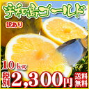 【Wゴ10】(厳選農園・ワケあり)宇和島...