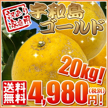 【W宇1002】（超減農薬農園・ワケあり）宇和島ゴールド20kg　　　　　　　　　　　　　　　　　　　　　【全国どこでも送料無料】【数量限定！最初から増量企画！】【隠れた名園地を発見！超減農薬宇和島ゴールドです。】只今「サッパリ・パリ！」