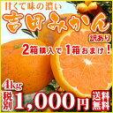 【g4】味濃い吉田みかん4kg(極早生・早生)(ワケあり・サイズ2S?2L込)※葉傷・枝傷・黒点等がございます。同一お届け先に限り、⇒2箱のご注文で1箱プレゼント!【愛媛県産】