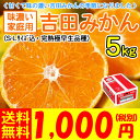 訳ありちび玉吉田みかん5kg（極早生・家庭用・3S〜Sサイズ込）　　　　　　　　　　　　　　　　　　※同一御届け先に限り今なら2箱購入で1箱おまけつき！超訳あり！皮はシワシワですが、中身はしっかり！