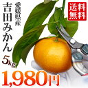 【味濃い】吉田みかん5kg(家庭用・サイズ込み) 【全国どこでも送料無料】