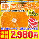 吉田みかん10kg（家庭用・サイズ込み）　　　　　　　　　　　　　　　　　　　　　　　　　　　　　　　今年も甘くて味の濃い吉田みかんの季節になりました。