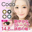 ★度あり★送料無料&最短翌日着!!★ツッティ ココ