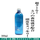 ハツモール DNA ミントシャンプー 300ml 【田村治照堂ノンシリコンDNA MINT SHAMPOO】【プロ用美容室専門店_シャンプー_つや髪美肌研究SHOP】