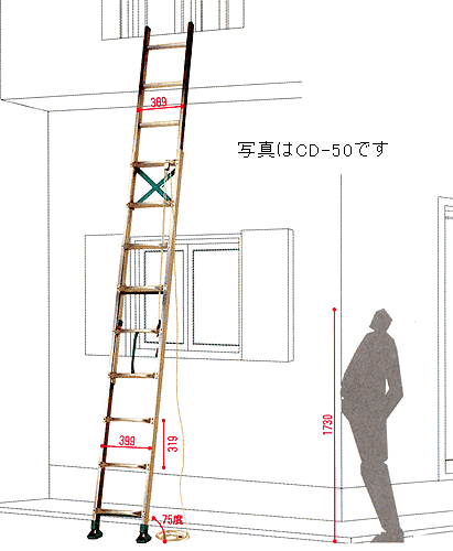 ̵Բĥ륤󥳡2ϢϤCD-60̵