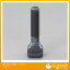 エスコ Tスロットボルト m12/呼12/160mm (EA637FB-160)