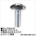 ÂçΤ ¾®¤Í¤¸¥È¥é¥¹Æ¬(¥¹¥Æ¥ó) M3¡ß30 ¡Ê62587¡Ë¡¡50ËÜ