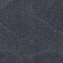 ショッピングタイルカーペット 東リ タイルカーペット ソコイタリ グランドエアー 50×50cm （GX8113）　4 枚