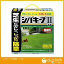【エントリーでポイント5倍】 レインボー薬品 シバ