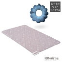 イオネスプラス+トータルピロー セミダブル【ヒーター マッサージ機器 健康器具 医療機器 緩和 頭痛 肩こり 】