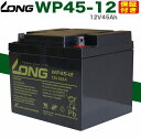 保証付き セニアカー用 バッテリー WP45-12 (12V45Ah)SER38-12 互換バッテリー ET4 マイメ