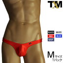 WET Tバック メンズ Tバック 下着 パンツ アンダーウェア【TM collection】