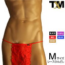 レースふんどしタイプTバック メンズ Tバック 下着 パンツ アンダーウェア【TM c