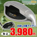 ※【送料無料】ストロングロフト・マウンテンソールで飛距離アップ！Larouge-M2アイアン(UI8番)ゴルフクラブ※8番のみ初心者ゴルファーにもやさしいアイアン：