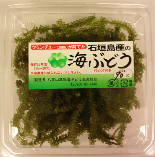 石垣島産　海ぶどう　90g　（タレ付き）