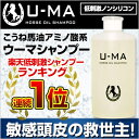 育毛シャンプー【ウーマシャンプー 300ml】 馬油シャンプー フケ かゆみ シャンプー ノンシリコン シャンプー スカルプシャンプー スカルプケア 頭皮ケア スカルプ アミノ酸 低刺激 u-ma シャンプー ボトル