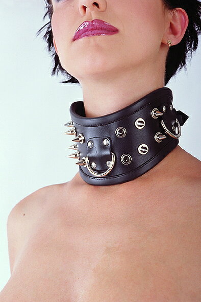 y[z/{f[Wp̎//n[hȃVo[XpCN/yyΉ_kzyyΉ_֓zyyΉ_bMzzyyΉ_kzyyΉ_C..