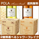 【送料無料】 POLA 【ポーラ】2種類選べる シャワーブレ...