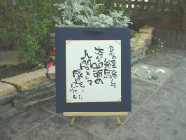 限定1点物です!中溝裕子｢たくさん経験して｣