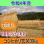 送料無料!令和4年産!!!群馬県みなかみ町(旧新治村)産天日干しコシヒカリ【玄米30kg】※北海道・九州・四国・沖縄・離島は別途送料掛かります 12,000円