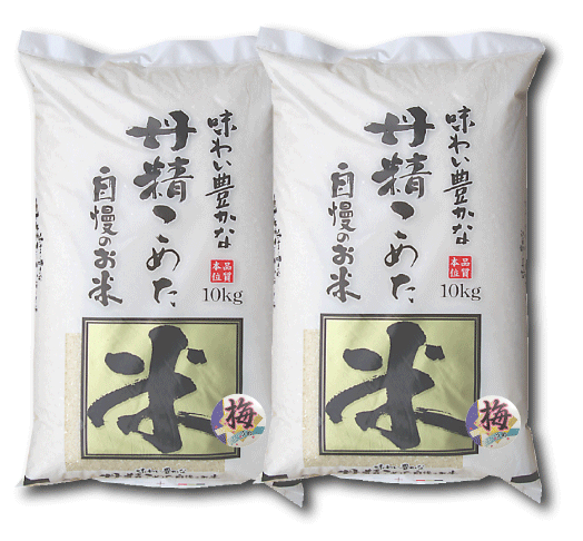 【送料無料】【ブレンド米】味わい豊かな丹精こめた自慢の米『梅』20kg