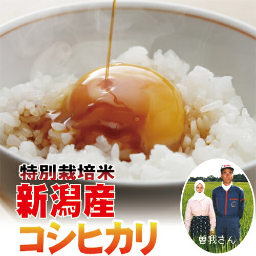 新潟特別栽培こしひかり23年産10kg（白米5kgx2）農薬や化学肥料を減らした曽我さんの特別栽培コシヒカリ【送料無料】