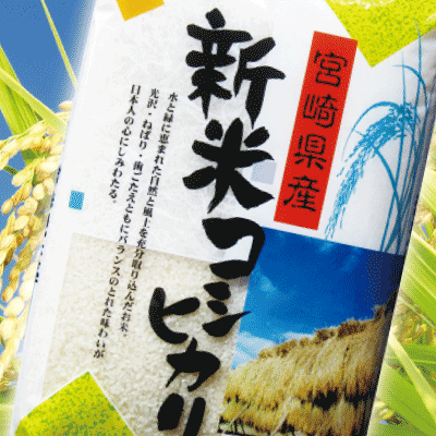 【送料無料】 宮崎県産コシヒカリ検査1等白米10kg(5kgx2袋)24年産