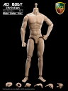 【ACI】1/6 Medium Built Body - Christian (Unpainted)Item No.: AB-3 1/6スケール男性ボディ素体