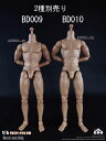 【COO】BD009 BD010 Muscle male Body 1/6スケール 男性ボディ素体