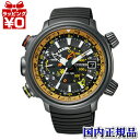 全世界送料無料/BN4026-09E/CITIZEN シチズン PROMASTER プロマスター メンズ 腕時計 ウォッチ WATCH プレゼント フォーマル ダイバー