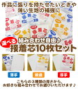 接着芯 選べる10枚セット 厚手 普通 薄手 【 お得 バッグ作り 小物作り 組み合わせ自由 生地のお供に 生地と同梱可能 】