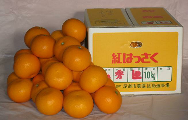 Ҥް绺ŻäѤߤĤҤް绺Ϥä10KֽL