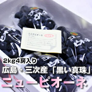 広島・三次産　ニューピオーネ　2kg（4房入り）「黒い真珠」広島産のぶどうといえばやっぱりコレ！！霧の海で生まれた黒い宝石今年もおいしく仕上がりました。